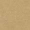 Brisa Buckskin