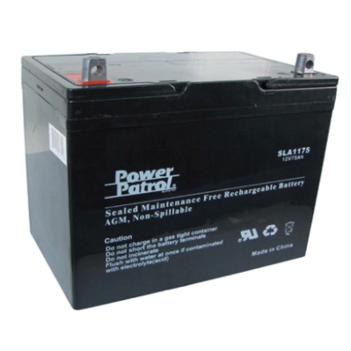 SLA1185 12 Volt 100 Amp SLA1185 12 Volt 100 Amp
